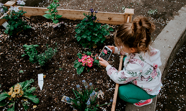 7 Frugal Gardening Tips and Tricks