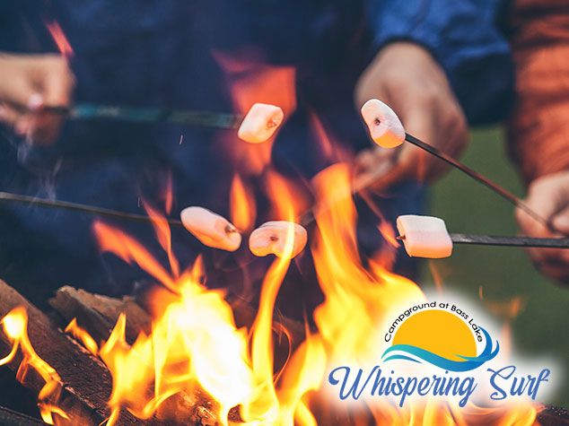 Jackson Michigan Business Spotlight - Whispering Surf Campground