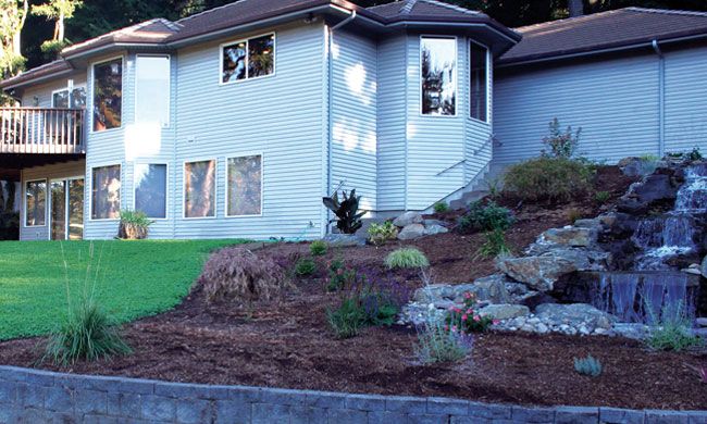 The Mini but Mighty Shamrock-Shaped Solution for Lawn Renovation